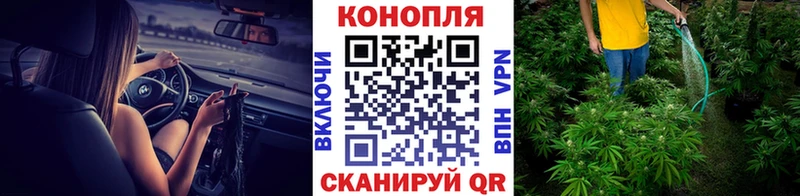 купить наркотики цена Волжский гидра онион Канабис марихуана